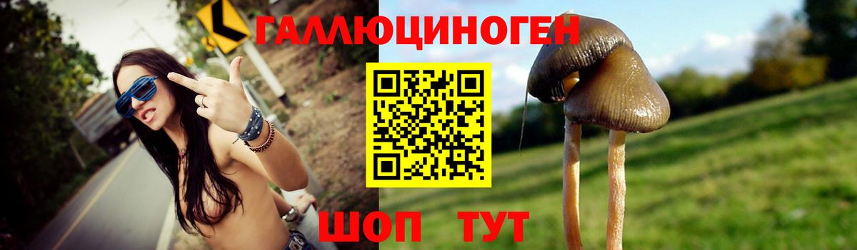 Псилоцибиновые грибы MAGIC MUSHROOMS  Вход с VPN  Мыски 